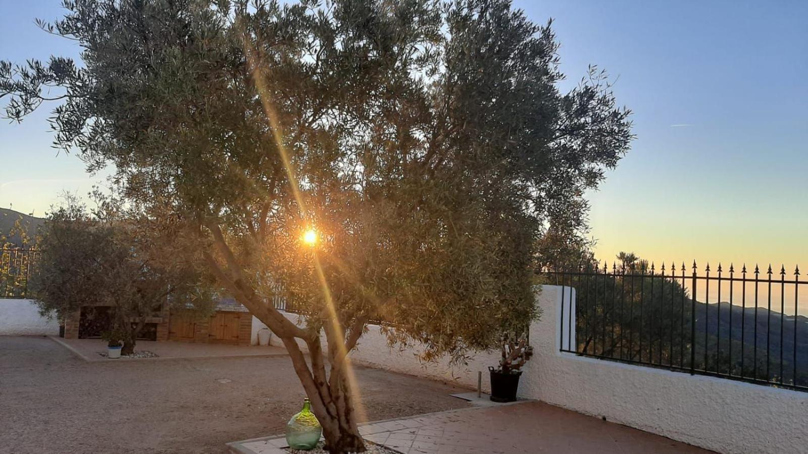 Cortijo Blanco Villa Albondon Kültér fotó