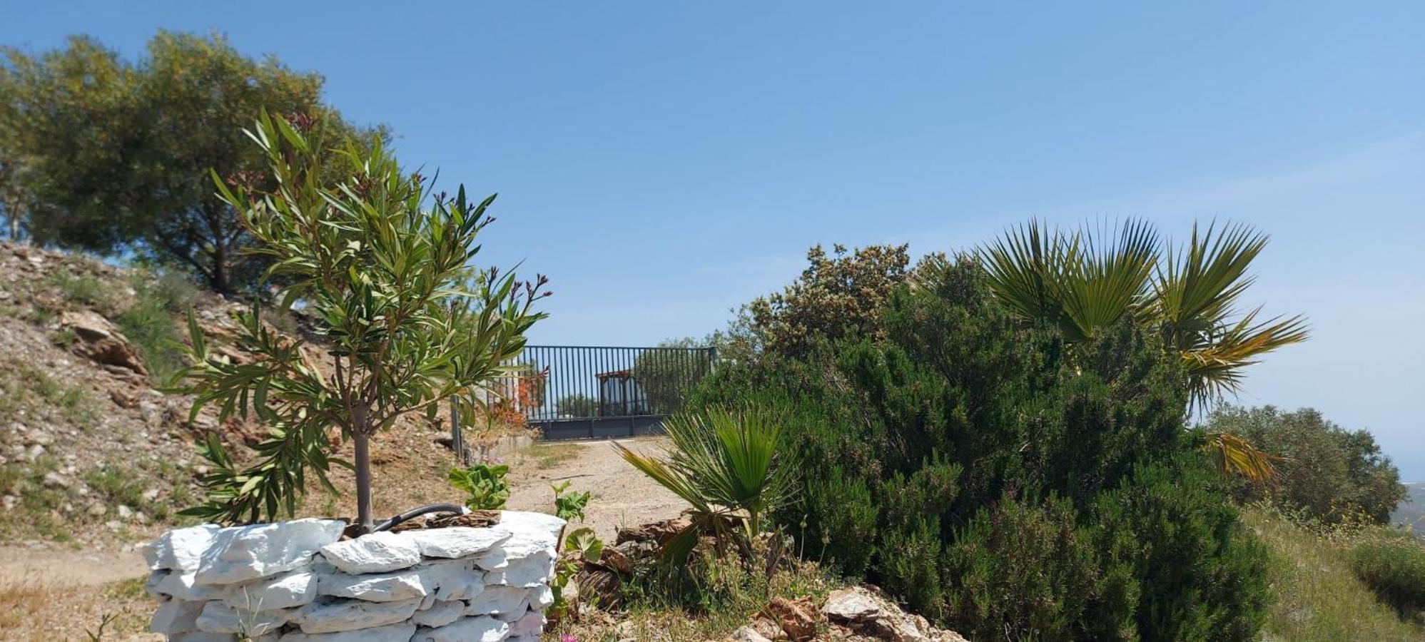 Cortijo Blanco Villa Albondon Kültér fotó