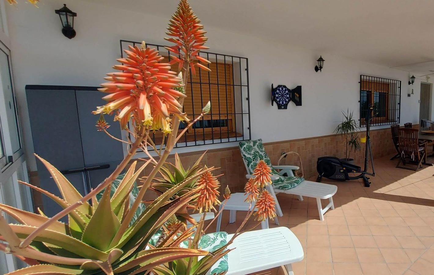 Cortijo Blanco Villa Albondon Kültér fotó