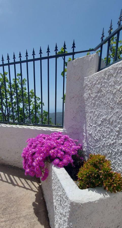 Cortijo Blanco Villa Albondon Kültér fotó